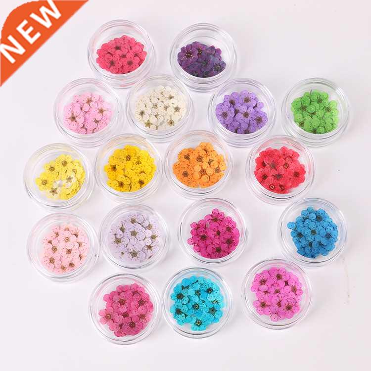 Pressed Press Dried Plum Blossom Dry Flower Plants for Epoxy