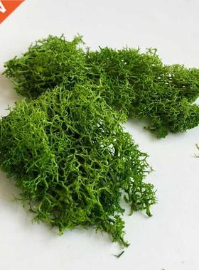 30G Lichen Moss cluster for bushes,model trees foliage scale