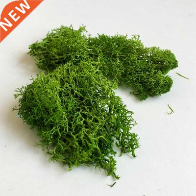 30G Lichen Moss cluster for bushes,model trees foliage scale