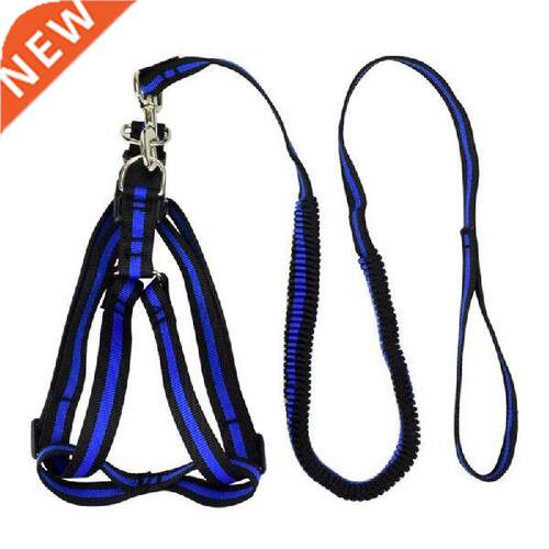 Nylon Dog Harness Leash Training Running Rope Elasticity