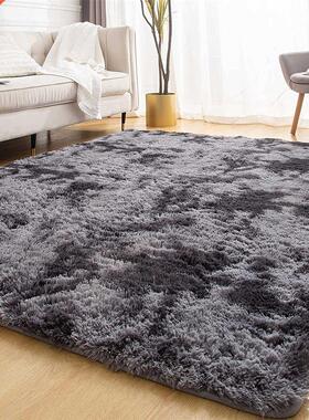 Thick Plush Crpets Living Room Decortion Home Soft Shggy