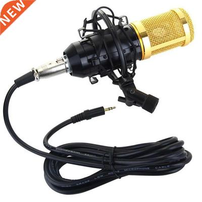 BM-800 Condenser Microphone Cardioid Pro Audio Studio Vocal