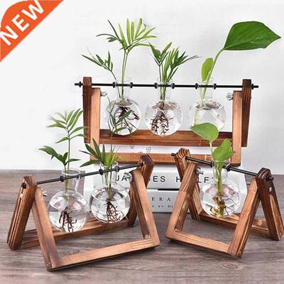 Hydroponic Vase Transparent Vase Glass Wooden Desktop Decora