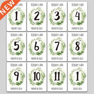 12 Sheet Milestone Photo Sharing Cards Gift Set Baby Age Car