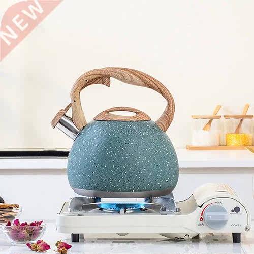 Stainless Steel Tea Kettles Kitchen Stainless Steel Kettle