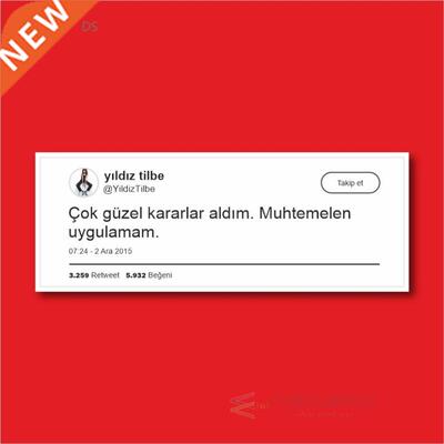 Beautiful Decisions Laptop and Phone Sticker-Decal max.8cm