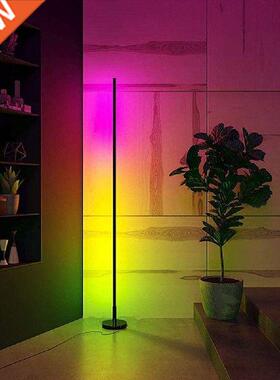 Nordic Indoor LED Floor Lamp Modern Simple Corner Rod Floor