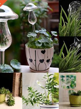 6 Types Glass Plant Flowers Water Feeder Automatic Self Wate