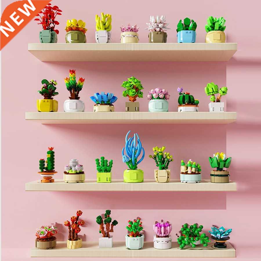 Potted Plants Succulents Cactus Gypsophila Bonsai ree Ga