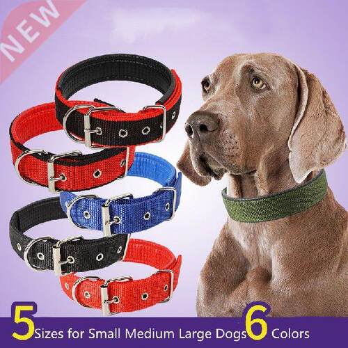 Dog Collar Adjustable Pet Collar Strong Outdoor Walking