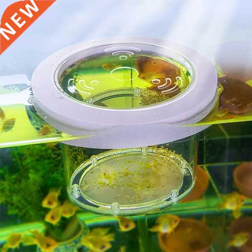 Suspended Fish Tank Breeding Isolation Box Transparent Acryl