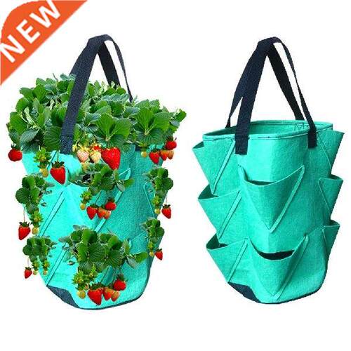 Garden Plant Grow ag 35x20x20cm Vegetale Hanging Flower