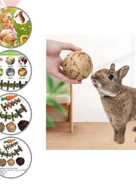 Bite Resistant Practical Promote Intestinal Digestion