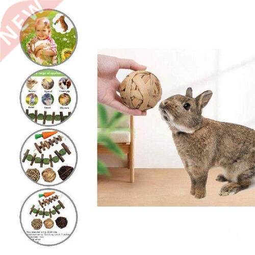 Bite Resistant Practical Promote Intestinal Digestion