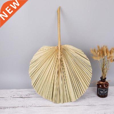 Dried Flower Palm Fan Leaf Plants Sunflower Leaves Home
