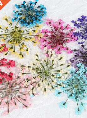 10pcs Dry Flowers For Resin Filling Nail Art Beauty Decal Ep