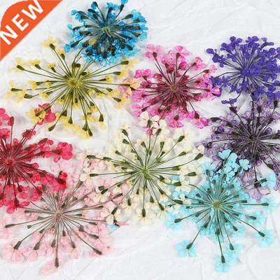 10pcs Dry Flowers For Resin Filling Nail Art Beauty Decal Ep