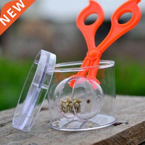 1PC Kid Plant Insect Study Tool Nature Exploration Toy Kit