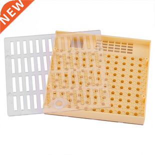 Bee Queen Rearing Cell Cupkit Box Case For Cupularve System