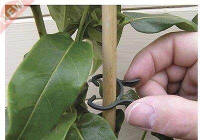 100Pcs Plant Garden Clips Vegetable Plant Vine Support Clips