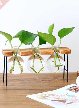 Glass Bottle Vase Hydroponic Plant Transparent Vase Wooden F