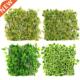 Expandable Wooden Faux Privacy Artificial Green Fence Vines
