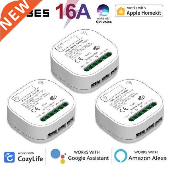 16A Apple Homekit Wifi Smart Switch Module 2-way Control