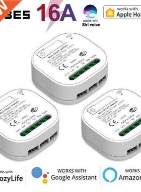 16A Apple Homekit Wifi Smart Switch Module 2-way Control