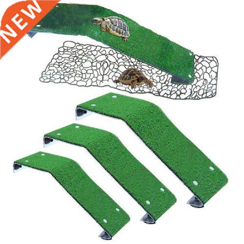 Turtle Drying Platform Turtle Climbing Ladder Reptile