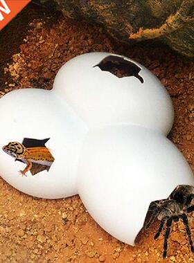 Reptil Menyembunyikan Gua Hewan Peliharaan Kasus EggsShell
