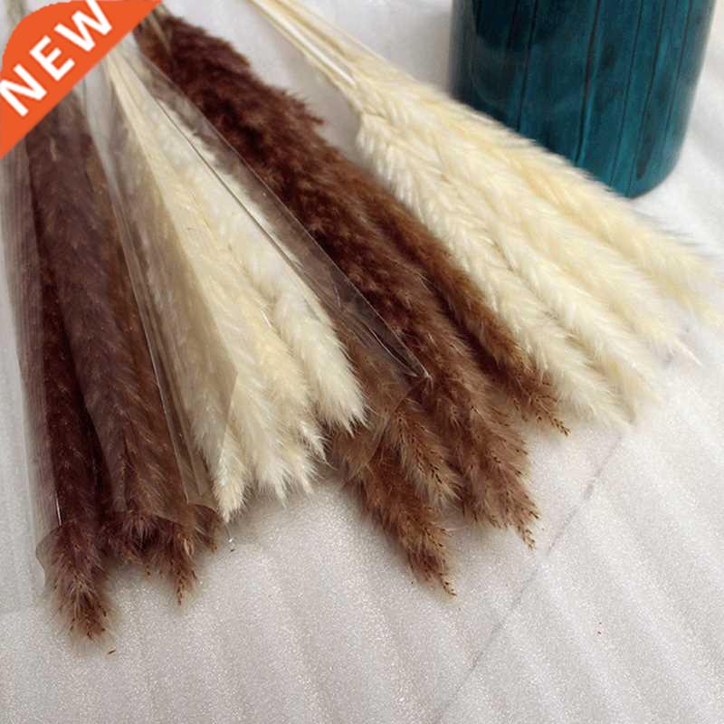 14pcs 7pcs Colorful Bulrush Grass Natural Dried Flowers Arti