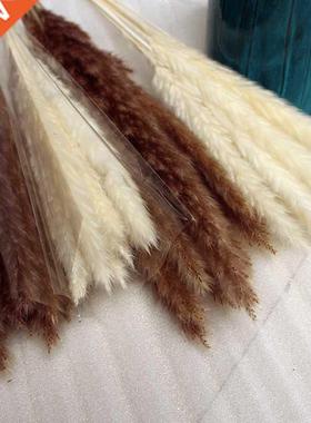 14pcs 7pcs Colorful Bulrush Grass Natural Dried Flowers Arti