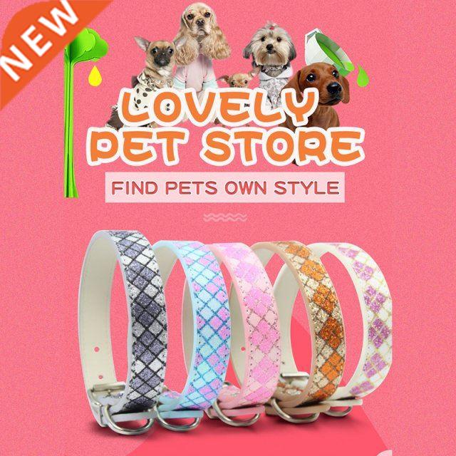 2021 New Arrival Glowing Dog Collar for Pet Cats Luminouse P