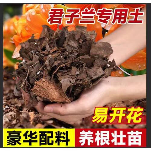 君子兰盆专用土养花种植土通用型营养土花土家用土壤种花盆栽