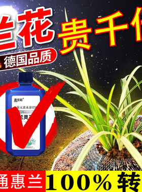 兰花诱导变艺药水出艺小药引导进化变异蕙兰边艺线艺诱变素促艺剂