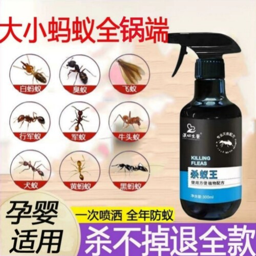 除灭蚂蚁药全一锅端窝端家用神器非无毒杀小红火蚁黄白蚂蚁净喷剂