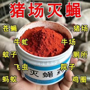 鸡牌灭蝇王苍蝇药养殖场家用长效强力灭蝇子一扫光灭蝇神器引诱剂