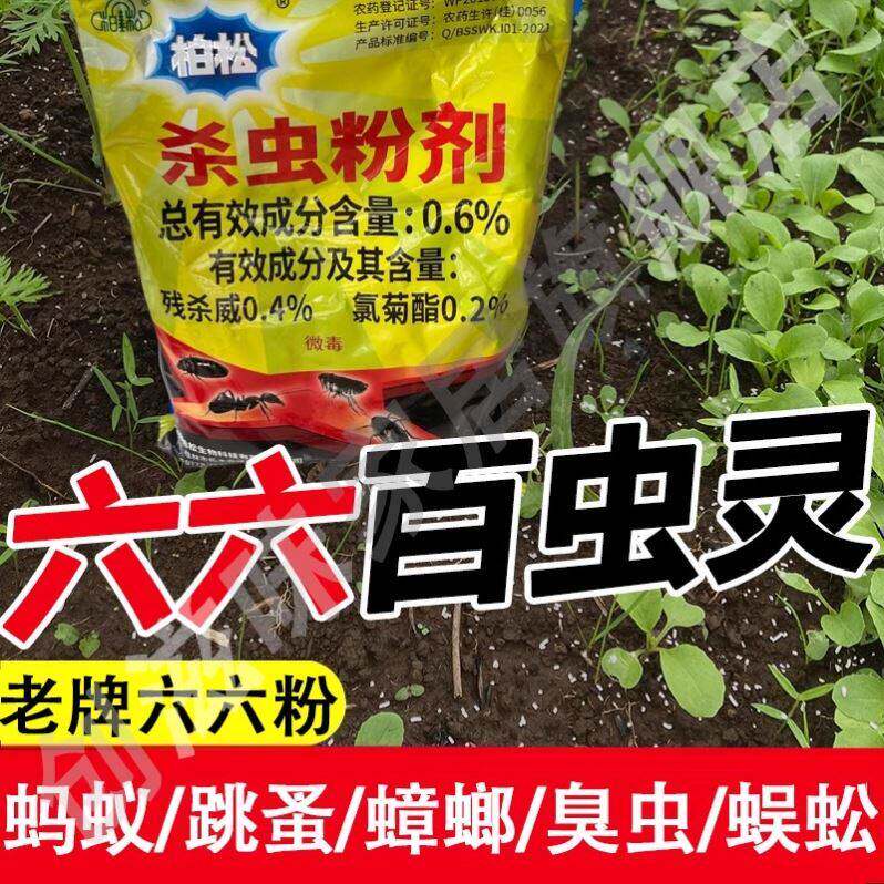 洁撒兵即旗舰店必杀虫粉剂杀蟑胶饵灭臭虫蜈蚣专用结冰散击白蚁药
