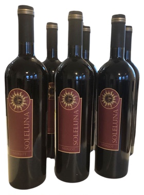 6瓶一箱 MERLOT 日月梅洛酒干红红葡萄意大利原瓶进口红酒