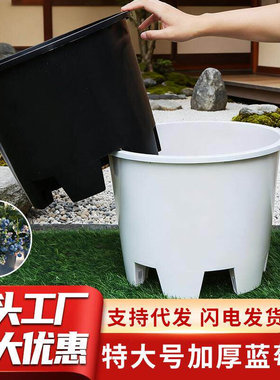 特大号蓝莓塑料花盆圆形青山侧排孔控根盆加厚绿植花卉呼吸种植盆