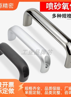 XAG61/62/63/64-L100/L116/L132/L150/L164/L196椭圆形铝合金拉手