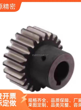 研磨直齿轮VNG01-1.0-3.0--VNG11-1.0-3.0--VNG21-1.0-2.0