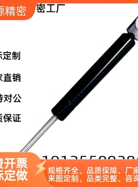 ACE GS-19-50-AC-300N/C-FGS18120氮气FGSS15100B22150A弹簧15/22