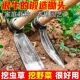 手工锻打连杆锄头全钢一体锄头挖野菜虫草挖药材挖贝母挖树根