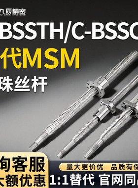 滚珠丝杠C-BSSTH C-BSSCH3205 3210-300 400 500 600 700 800 900