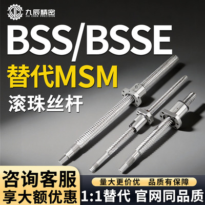 滚珠丝杠BSSBSSE200520102020