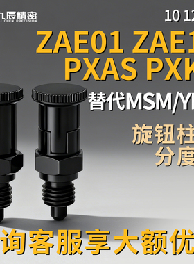 旋钮柱塞PXAS PXKS 10 12 16 细牙复位型ZAE01 ZAE11-M10 M12 M16