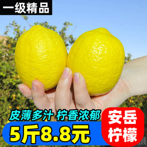【粉丝福利】四川安岳黄柠檬新鲜当季水果精选皮薄泡饮做菜除异味