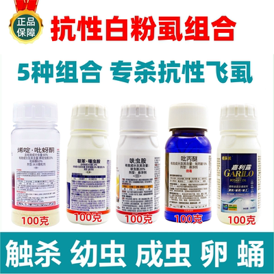 【抗性白粉虱组合】5瓶组合配方 白粉虱蚜虫蓟马杀虫杀卵专用药