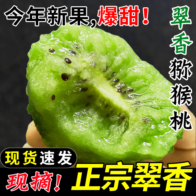 【周至正宗翠香猕猴桃】产地直发